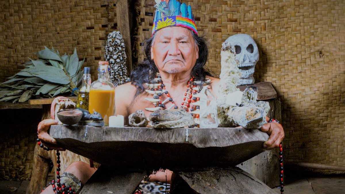 Ayahuasca una Planta Sagrada de la Amazonía
