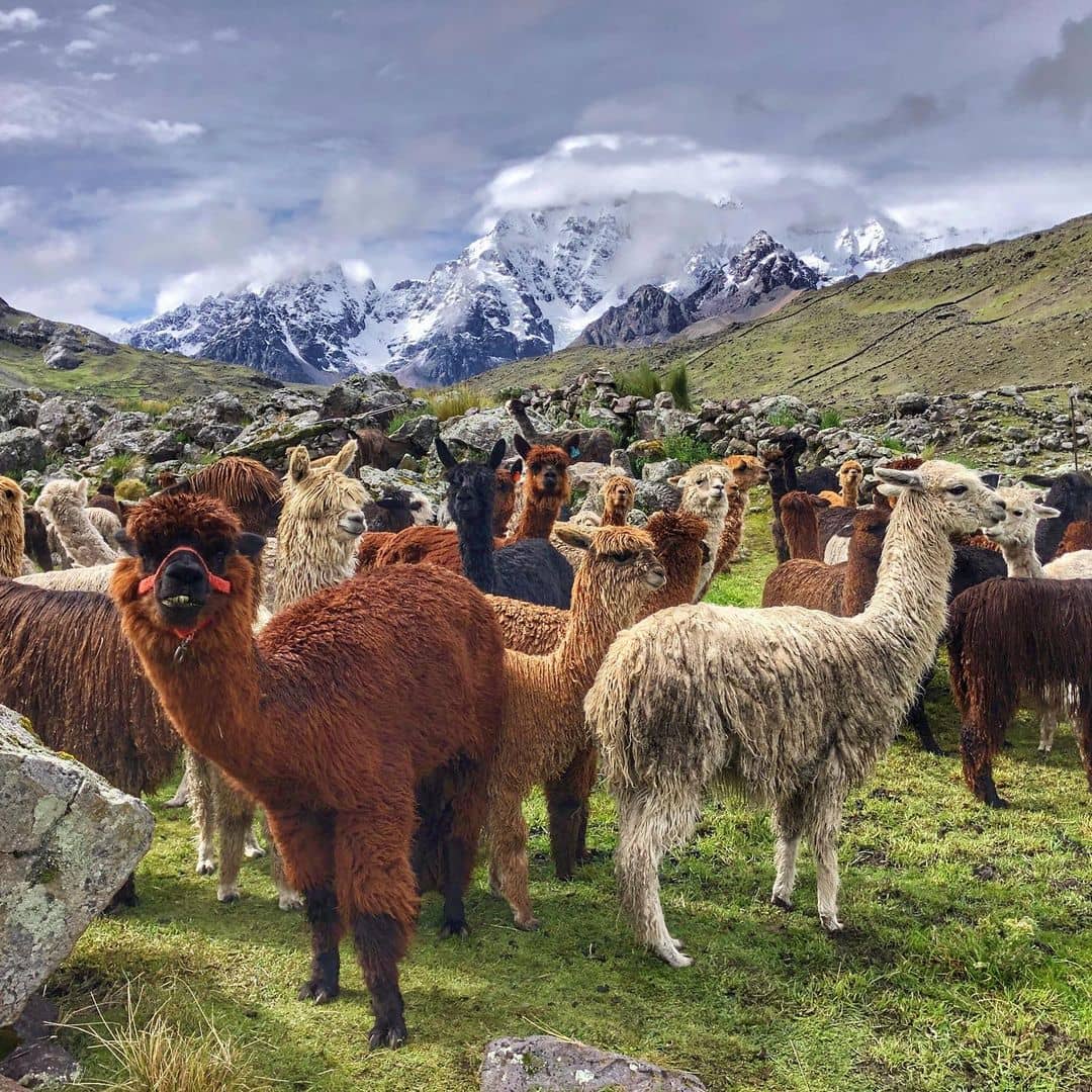 Blog de viajes a Perú y el Ausangate