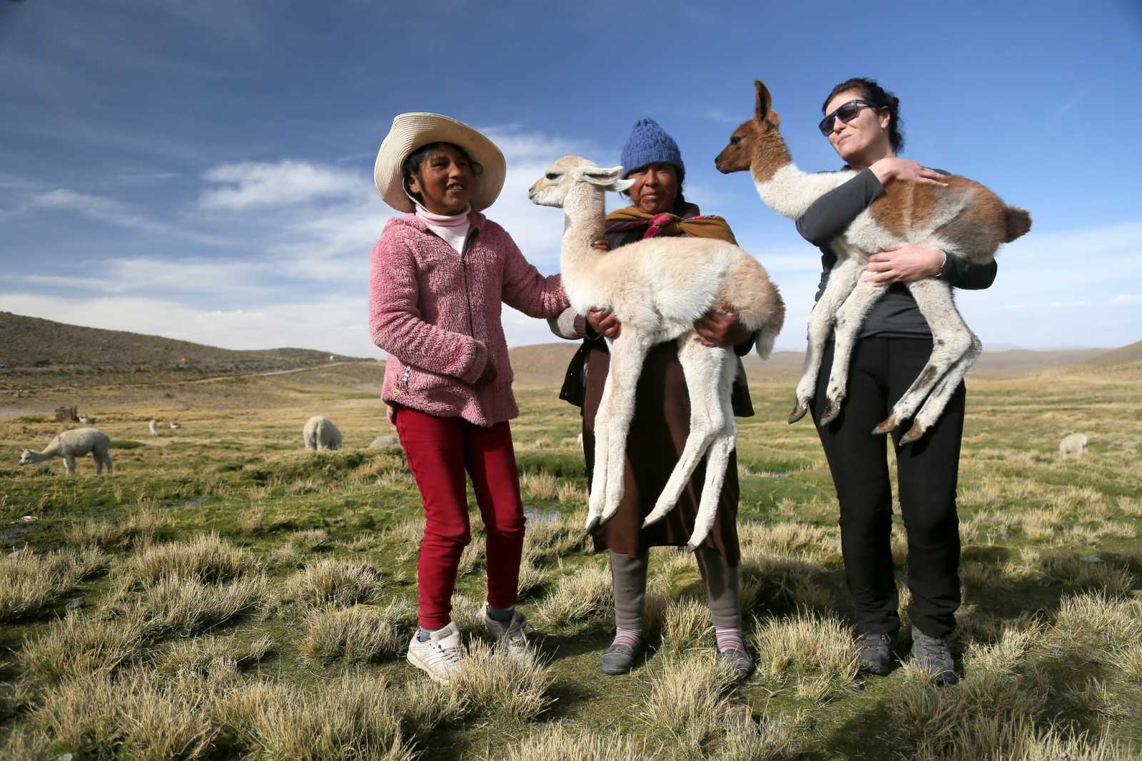 Cómo Organizar un Viaje a Perú