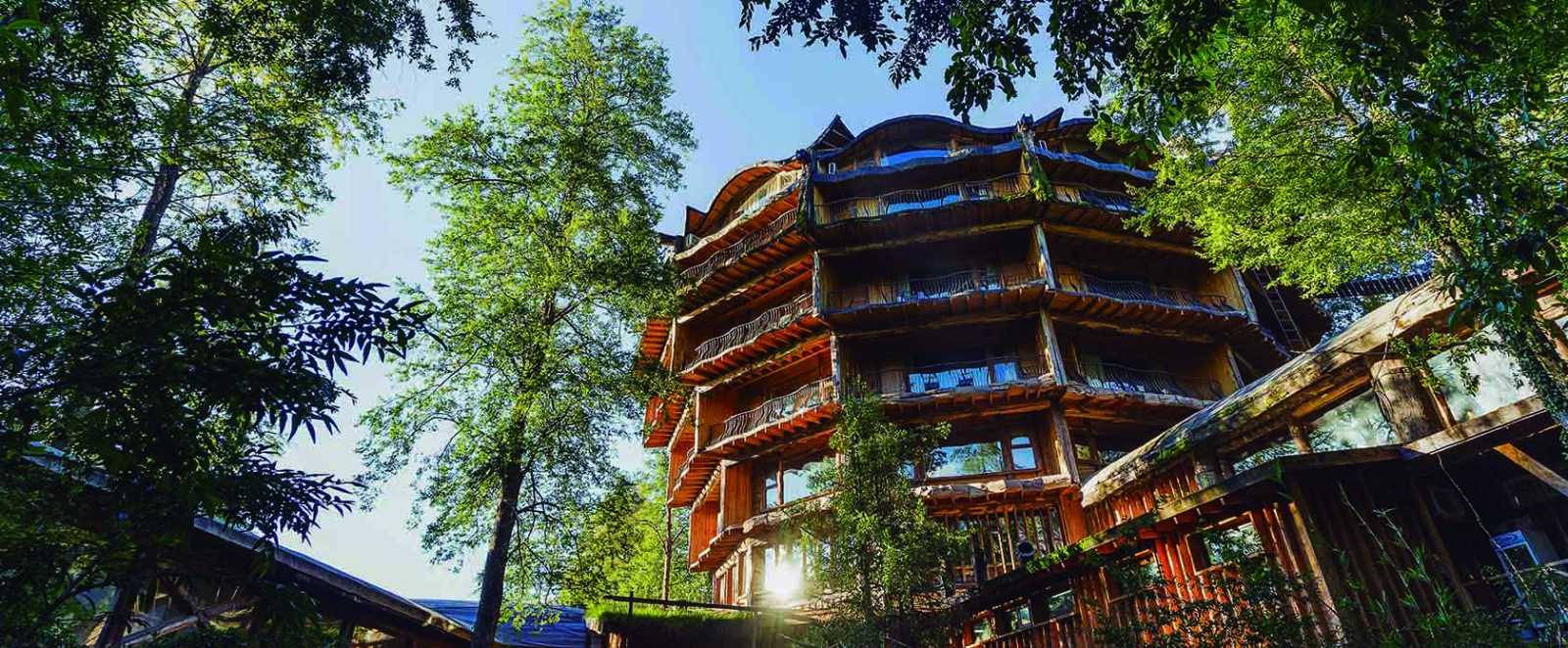 Unique Experiences Staying in Floating Houses and Treehouses