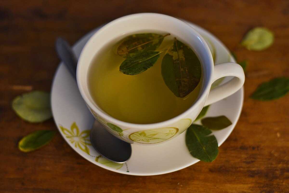 La coca para el mal de altura beneficios y cómo usarla