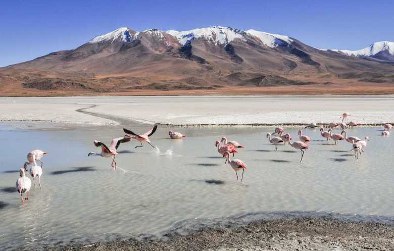 Los 10 mejores destinos turísticos de Bolivia