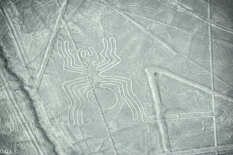 The nazca lines in Peru