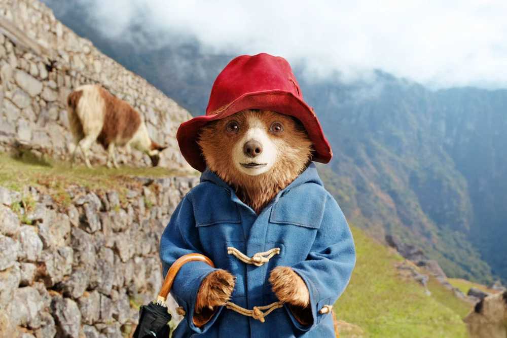 Paddington em Machu Picchu