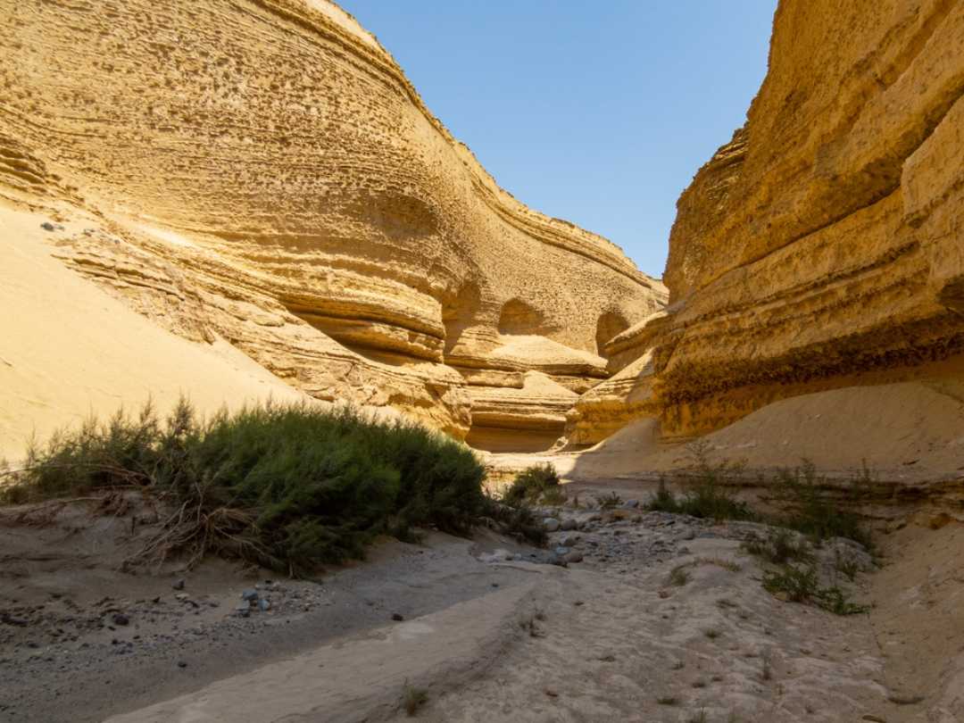 Canyon of the Lost