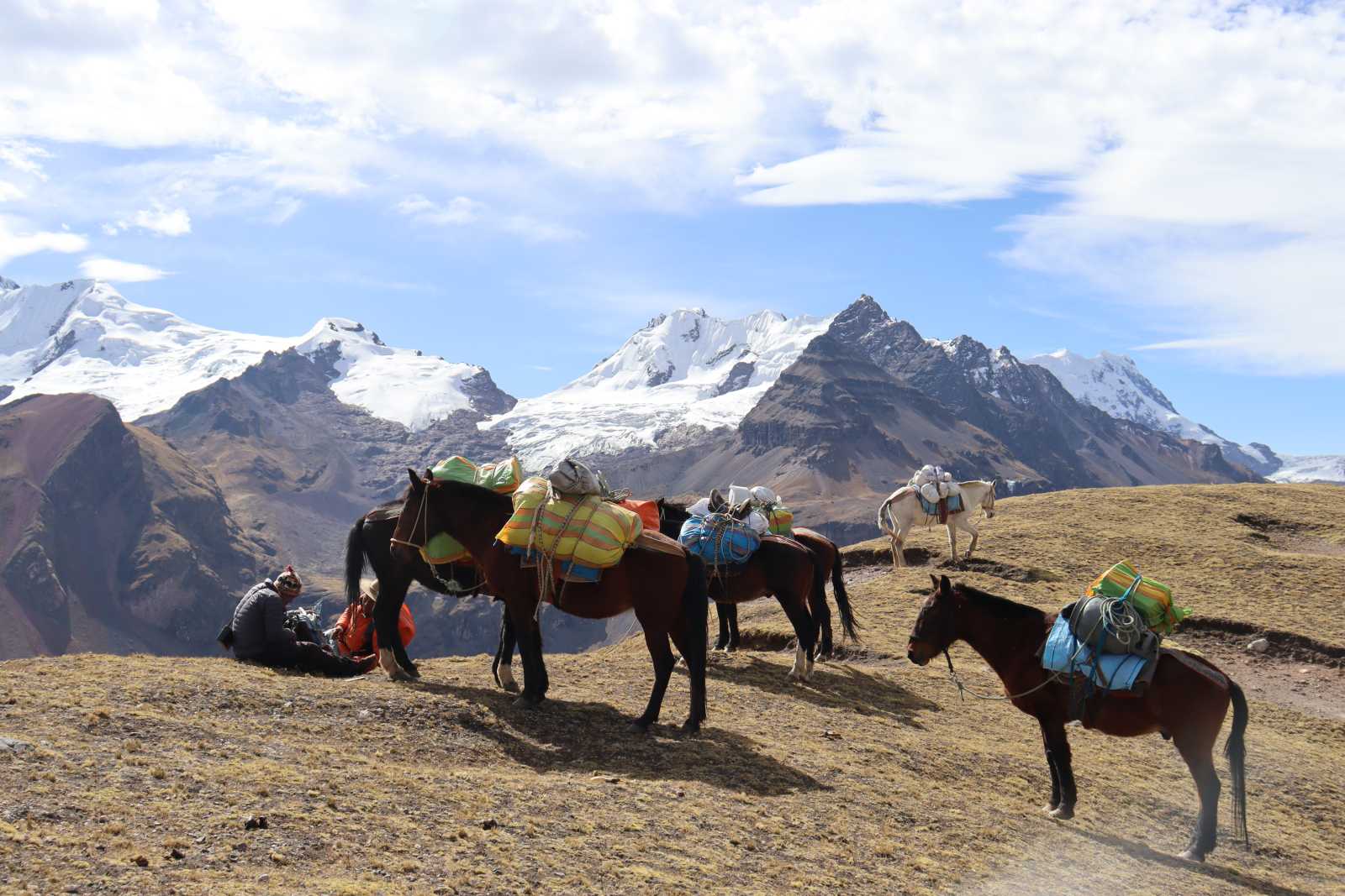 Muleteers eating the coca for the descent to Ausangate Base Camp