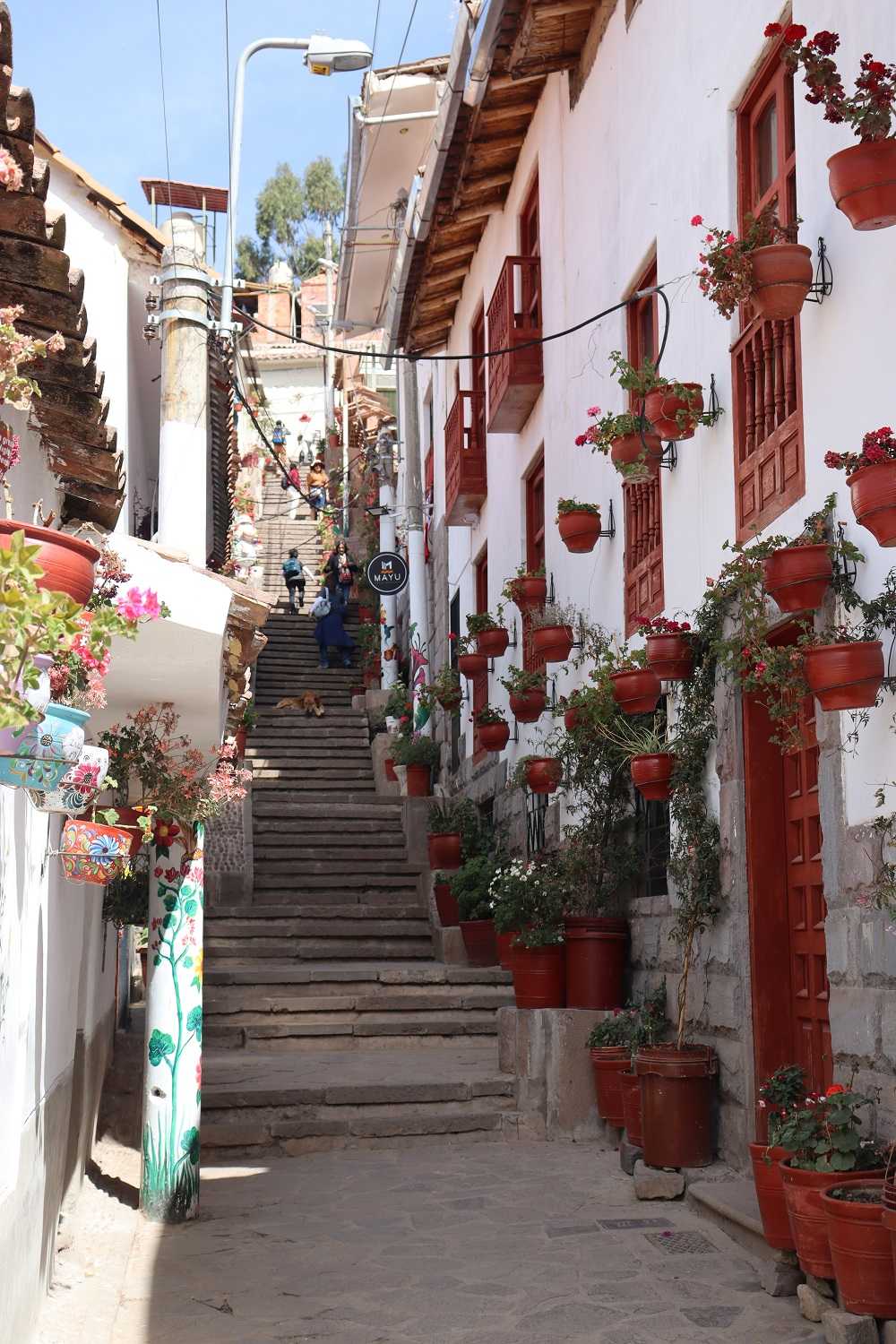 Consejos para visitar la calle 7 Borreguitos