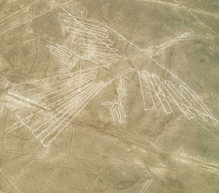 El Cóndor de Nazca