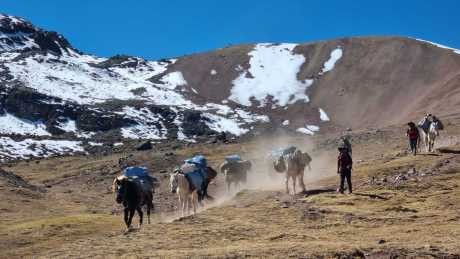 Muleteers descending Palomani Pass, the highest point on the Ausangate Route