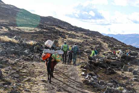 Horses and muleteers for the Ausangate climb