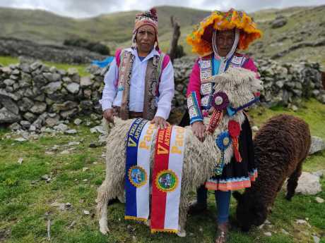Alpaca producers in the Pacchanta community
