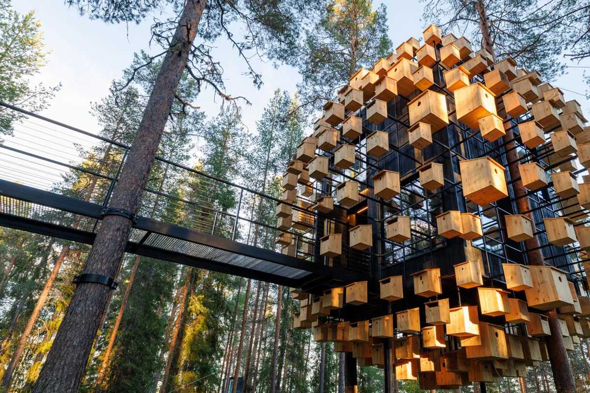 Treehotel uno de los hoteles suspendidas en el árbol
