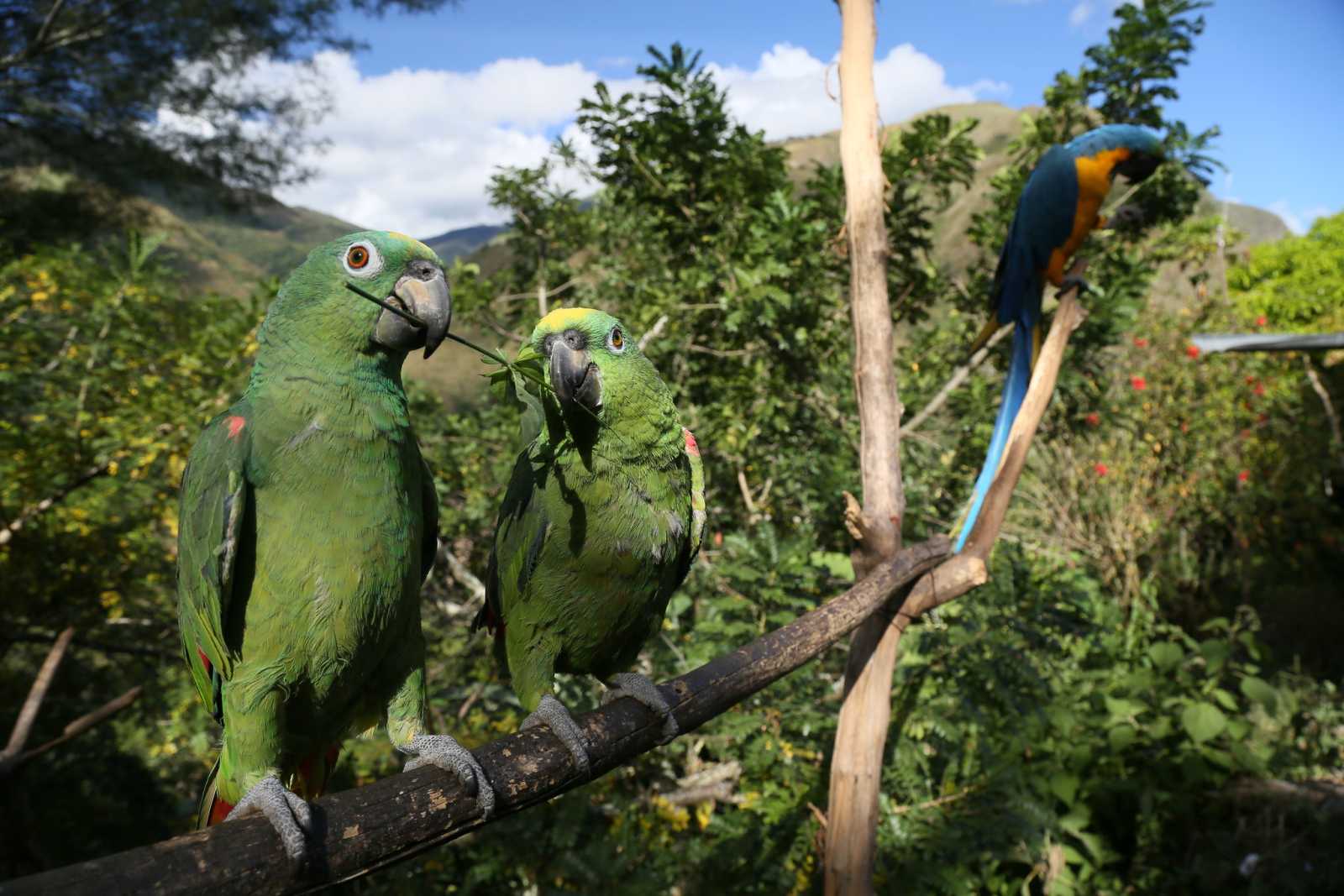 Inca Jungle Tour to Machu Picchu – 4 Days from Cusco