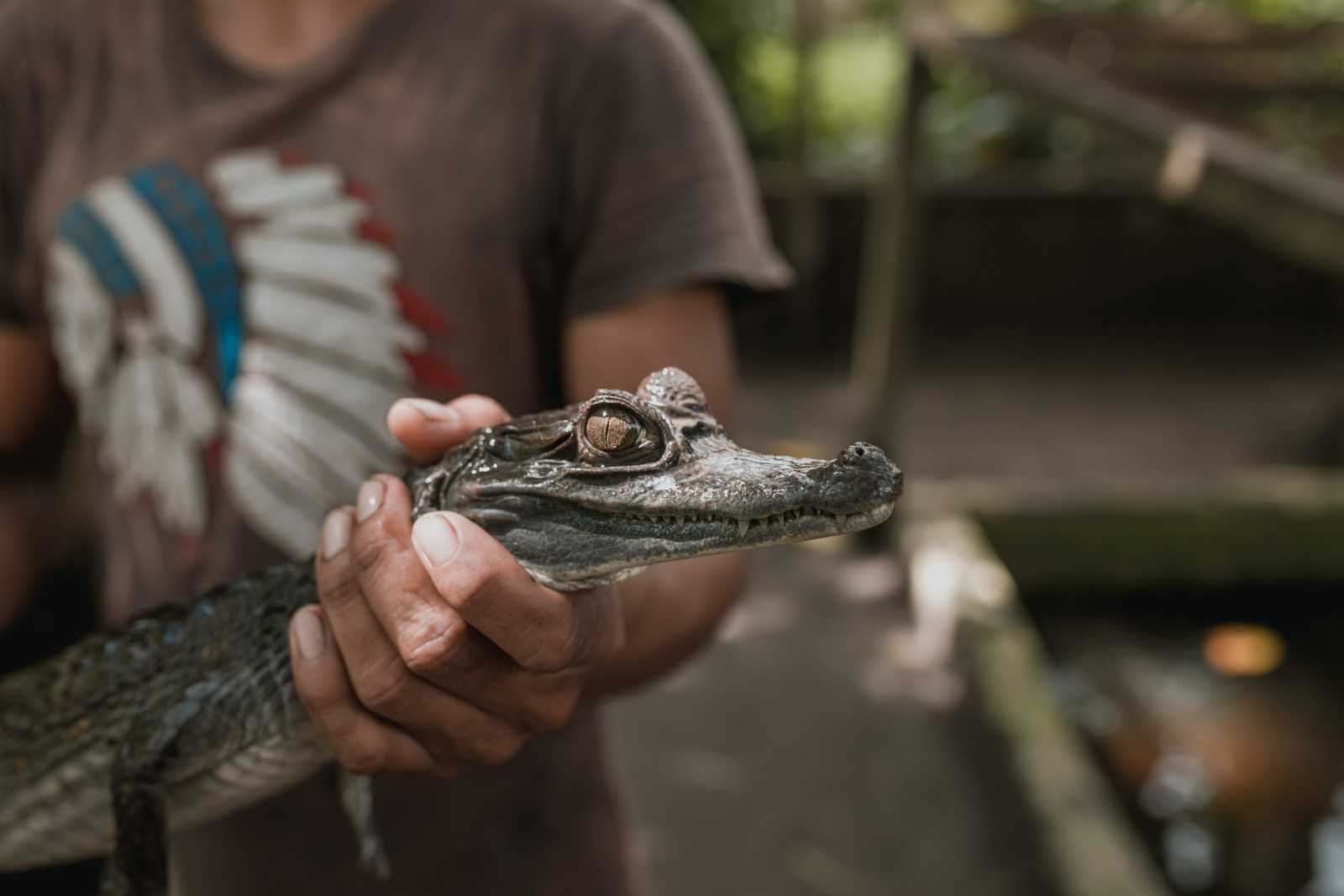 Tour a Iquitos de Selva Pura 4 Días - Huillca Expedition